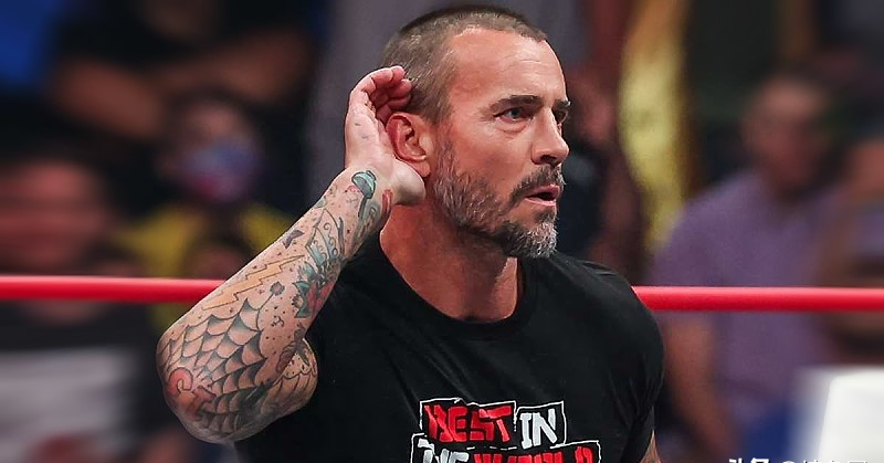 cm punk回应赛斯讽刺言论:ufc连续输掉两场比赛并不丢人,至少我努力过