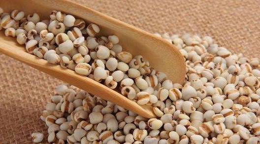 哇!原来薏米这样吃才能祛湿,减肥,轻松瘦到你尖叫!_红豆_百合_肥胖者