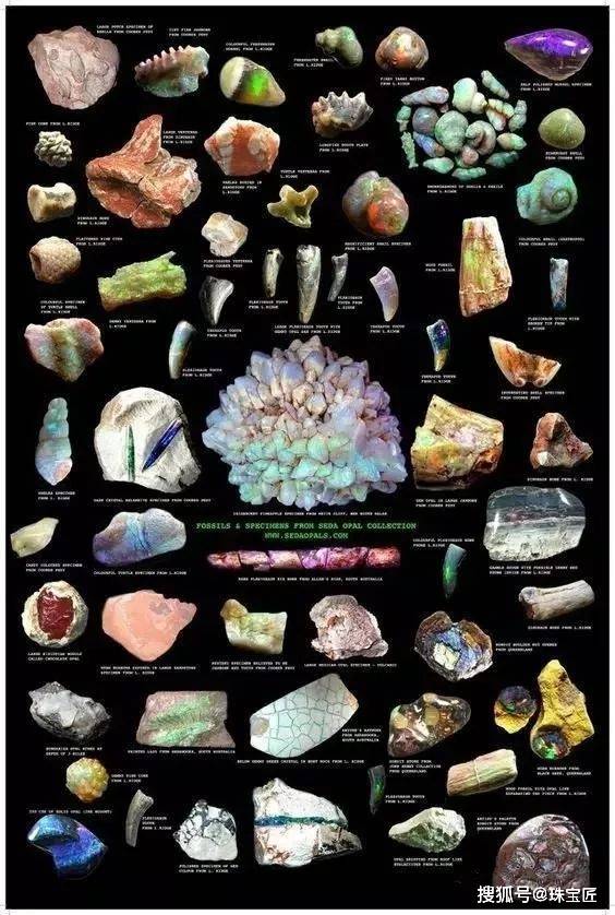 欧泊_黑欧_化石