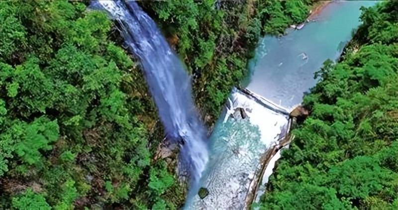 武隆长坝镇大元村通过建强党支部壮大集体经济推进乡村大振兴_发展