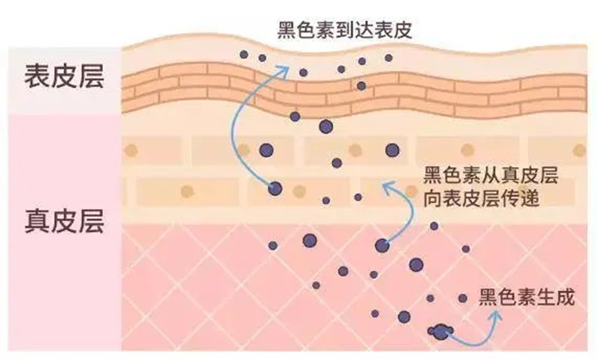 大数据快把我推给想要祛痘美白的人