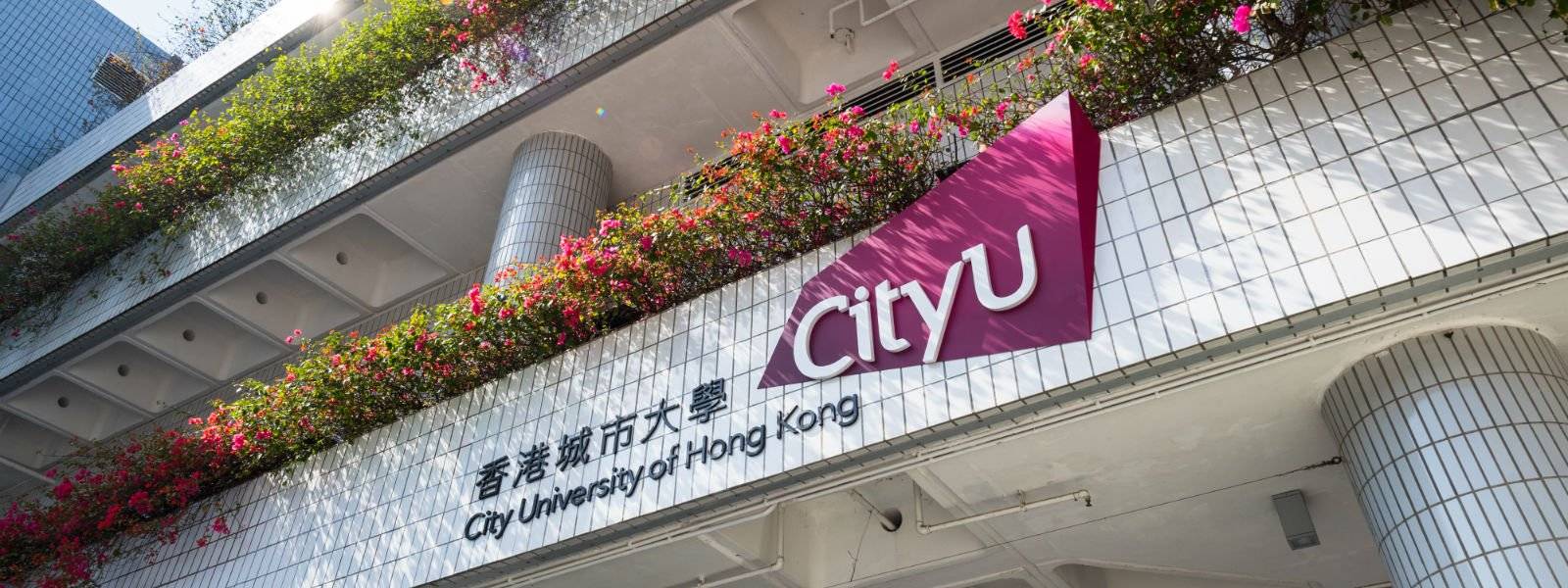 香港城市大学广州校区图片