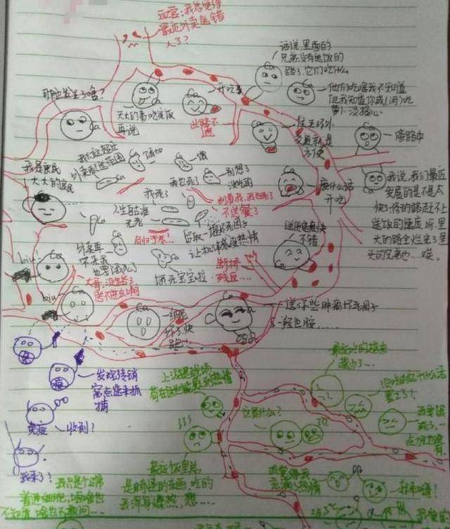 汉字谐音研究报告图片