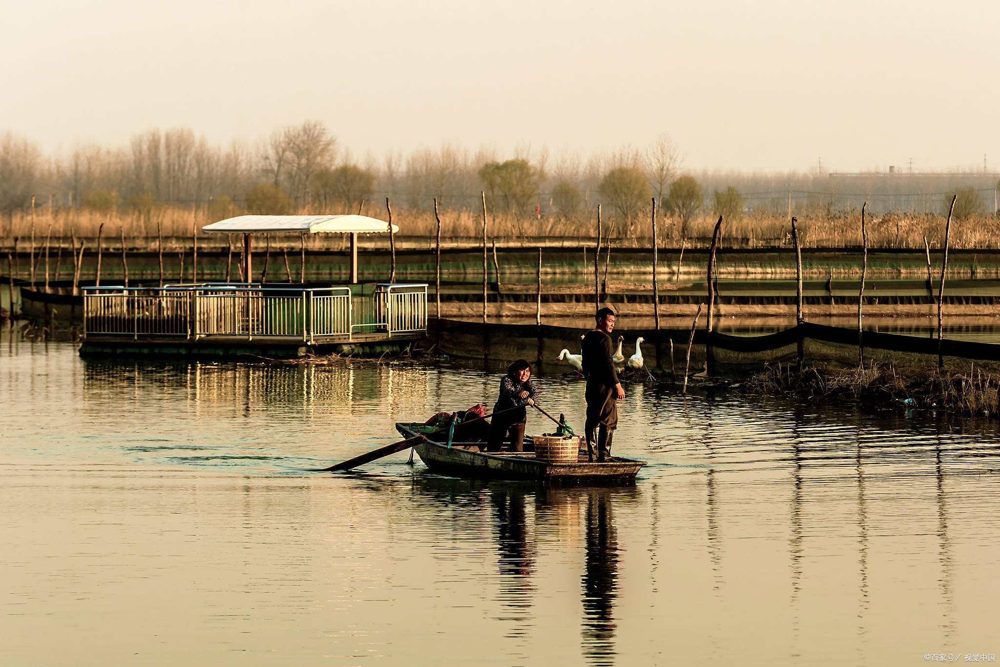 姜堰溱湖风景区门票图片