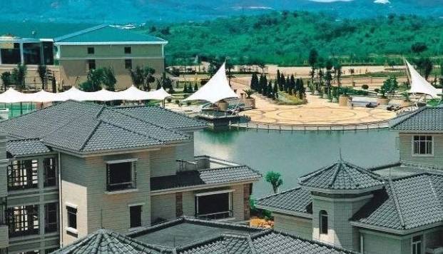 s型瓦,波形瓦立体感好,取材方便,承重力强,门槛低但价格略高于琉璃瓦.