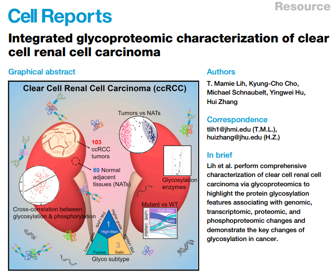 cell reports | 腎透明細胞癌的糖基化蛋白質組學研究