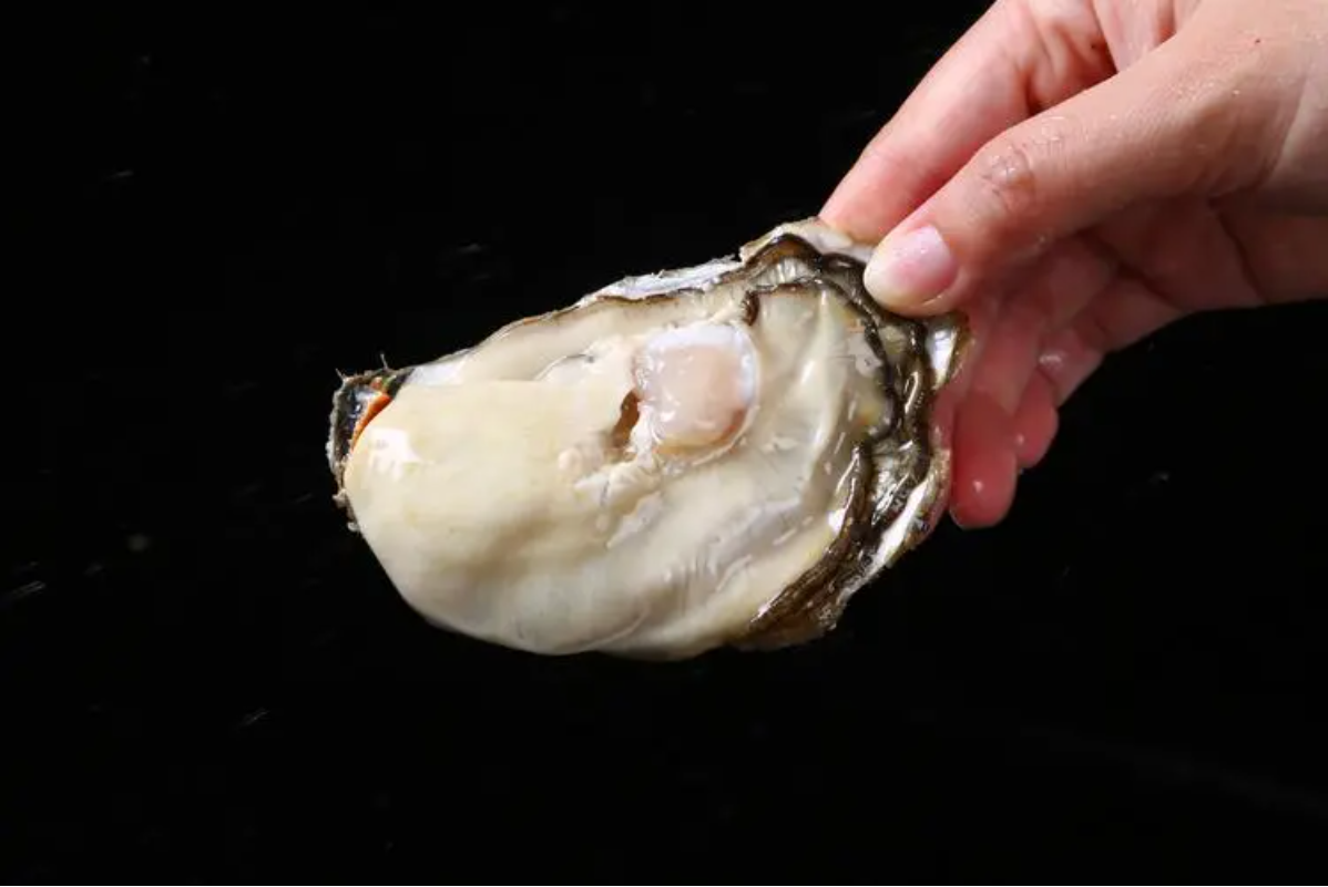 关于牡蛎片的效果和作用,你了解多少