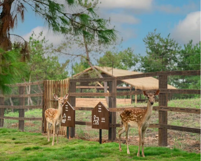疯马牛萌宠乐园设计丨与宠物,孩子和大自然亲密互动的新选择
