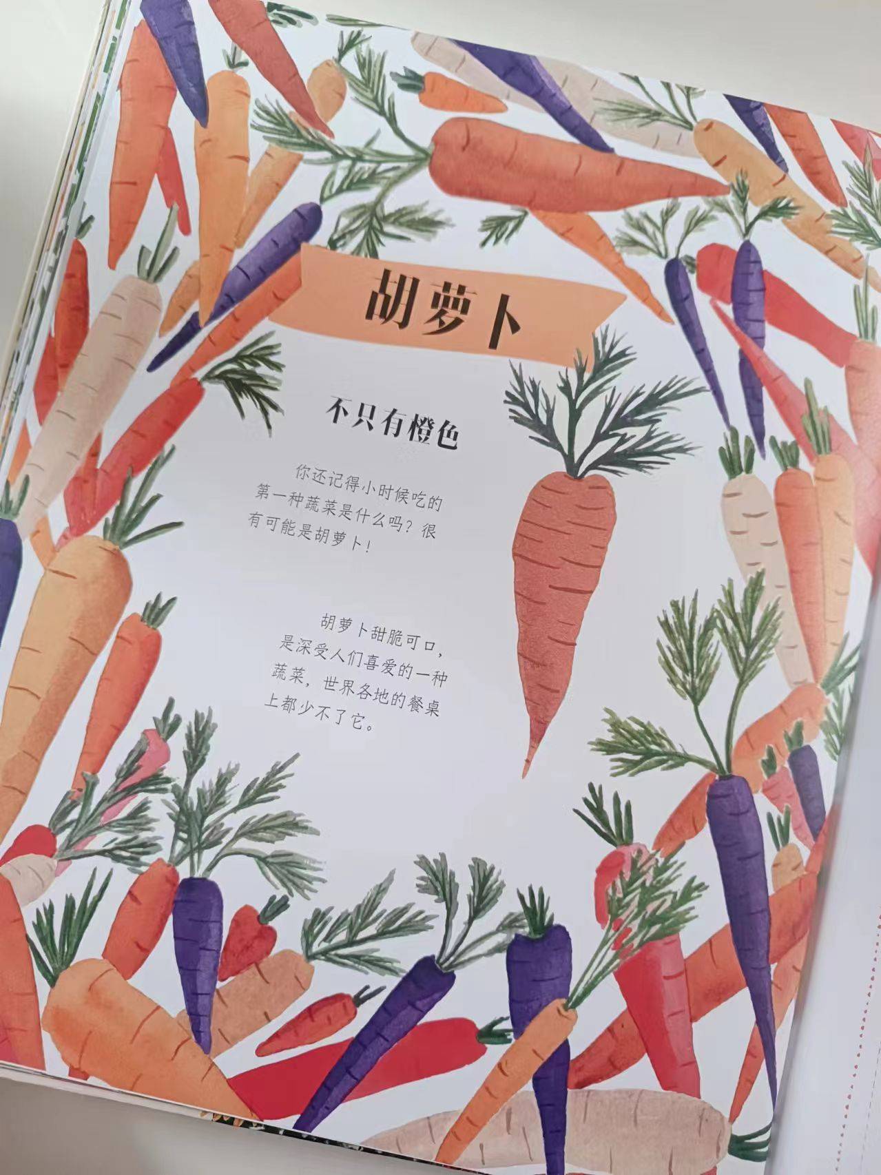 治愈系植物图谱,在万物生长中感受生命力量_种植_胡萝卜_苹果