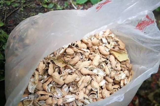 叶土_蚯蚓_沙子