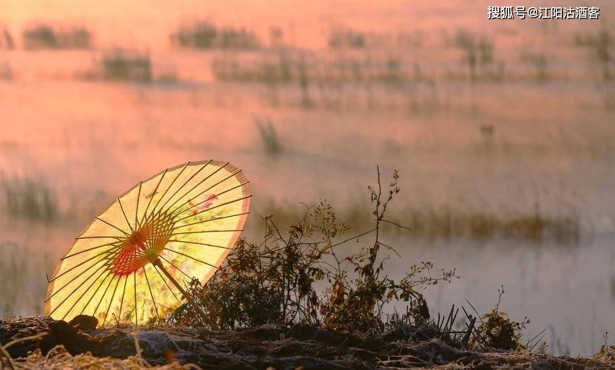 泸州"展言子",土味文化的语言魅力,现在的九零后基本没听过_歇后语