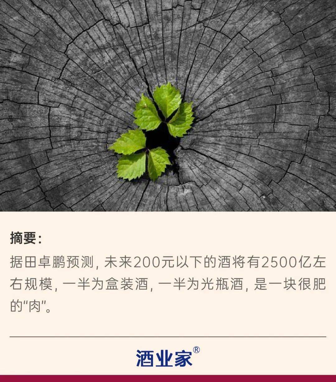 逆袭的百元盒装酒:春节动销普增10%-30%,成酒企