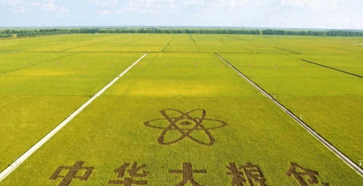 年产百亿斤,号称"中华粮仓"的北大荒,现如今为何要退耕还荒?