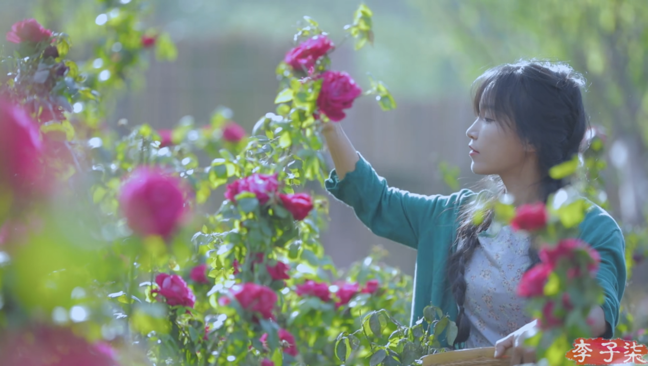 我们的时代为什么需要李子柒?