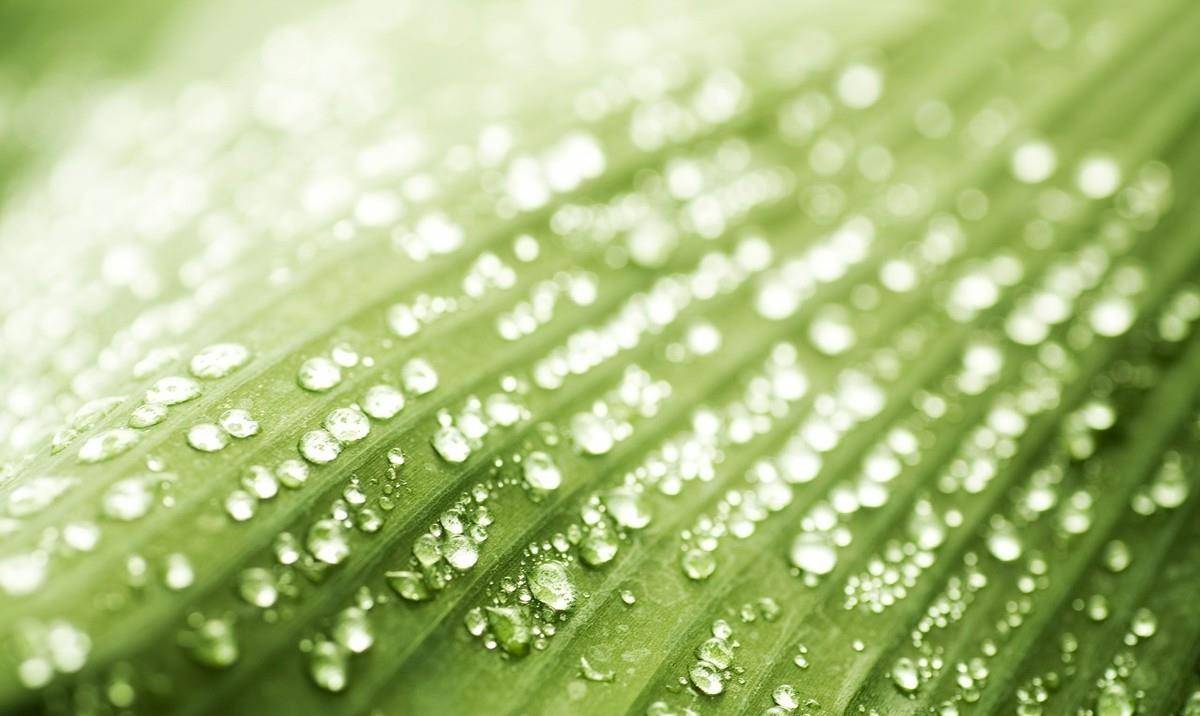 宛渠国之异产——燃石宛渠之民告诉秦始皇,在他们的国度里,通常都是阴