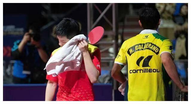 男方击败樊振东官宣恋情,朱雨玲之后,恭喜!_雨果_巴西_乒乓球