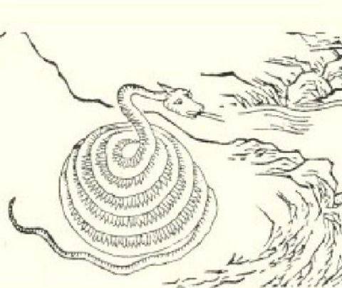 山[犭军(左右)]有兽焉,其状如犬而人面,善投,见人则笑,其名山[犭军