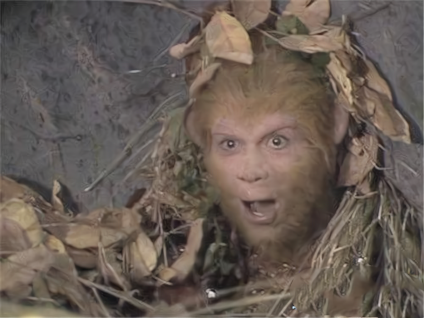 猴子事实也是如此,从五行山出来后,猴子不像以前那么激进,凡事都留有