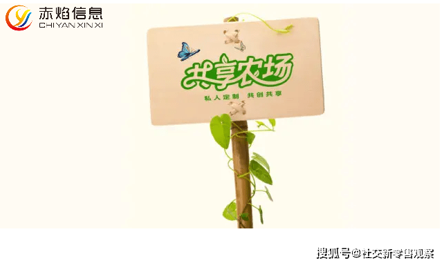 龙头研学共享菜园基地,打造认养模式,为乡村振兴探索一