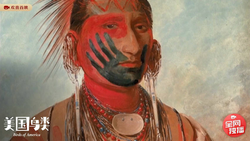 闻听"国宝"背后血泪,上影节高分纪录片《美国鸟类》欢喜首映独播上线