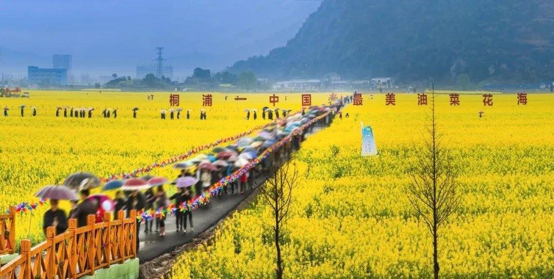 桐浦镇充分发挥温瑞交界的区位优势,紧紧抓住eod项目建设契机,将美丽