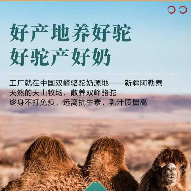 驼奶粉哪个产地最好,驼奶粉的产地差异_新疆_人们_沙棘