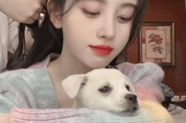 鞠婧祎抱小奶狗合影,粉底涂太厚像"瓷娃娃",黑眼圈却没遮住