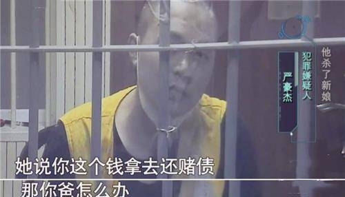 残忍,被判死刑背后,还隐藏着不为人知的身世隐情_严豪杰_刘敏_儿子