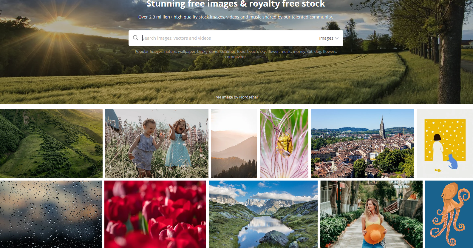 外国视频网站，外国视频网站怎么下载软件