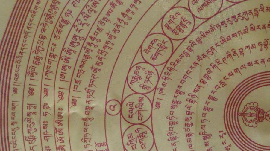 专家张淑芬为了能证实它的身份,将佛教协会的弘道法师引荐给秦先生.