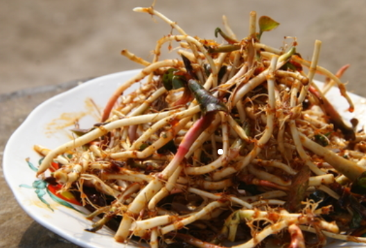 鱼腥草_身体_危害