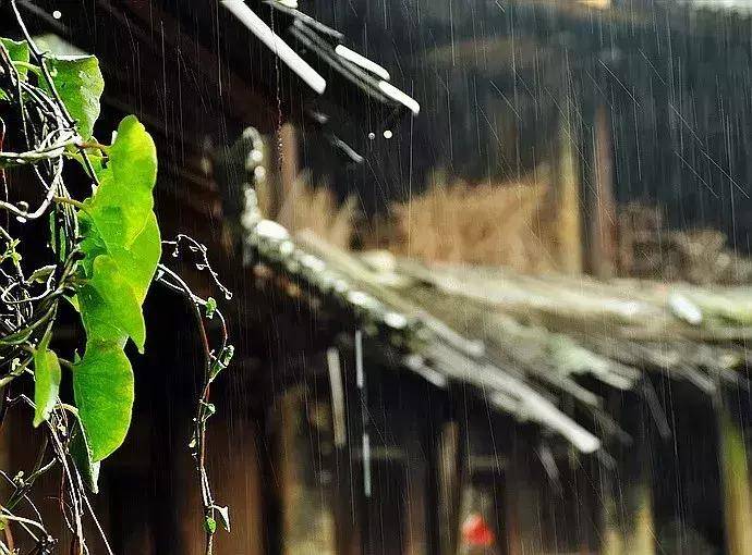 【05】草草杯盘供语笑昏昏灯火话平生这是丰子恺在"缘缘堂"的摘句联