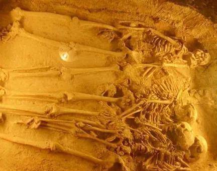 进行_制度_食物