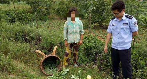 女子偷瓜被追赶意外落水身亡,家属找瓜农索赔13万,最后咋判的?