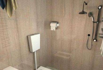 新房装修厕所难,要选马桶还是蹲坑?