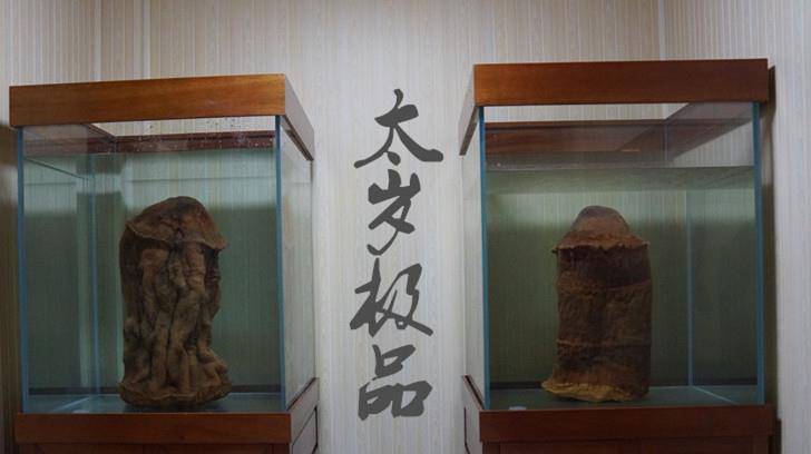 价值百万,中国科学家用精密仪器检测揭开太岁之谜_杜战盟_东西_周至县