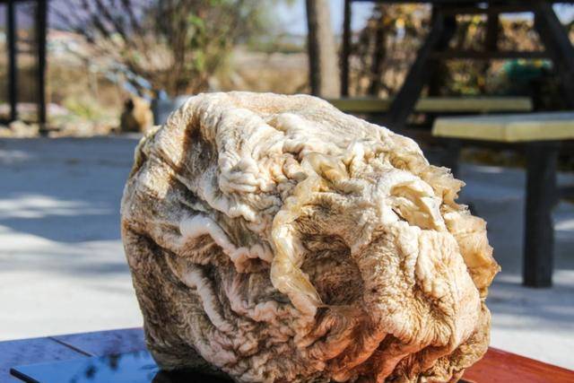 因为_延年益寿_药效