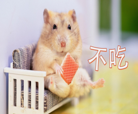 被家里的仓鼠咬了,需要打狂犬疫苗,破伤风疫苗,还是出血热疫苗_动物