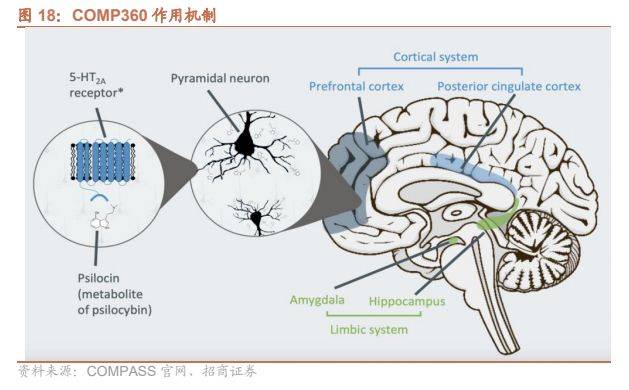 中枢神经系统疾病深度,掘金蓝海市场,困境反转,曙光已