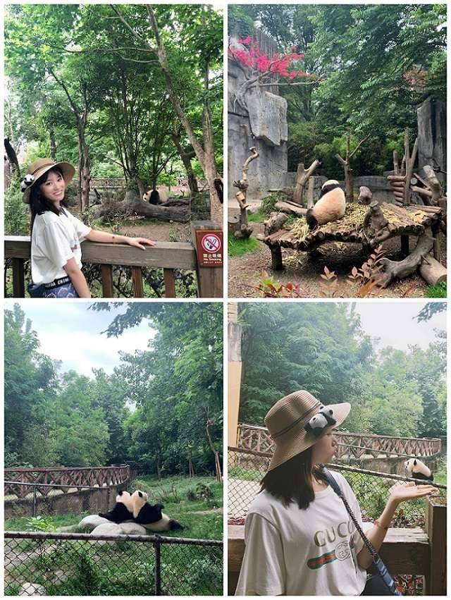 九寨沟跟团游三天要多少钱，成都九寨沟三日游旅行团，亲身体验+详细线路