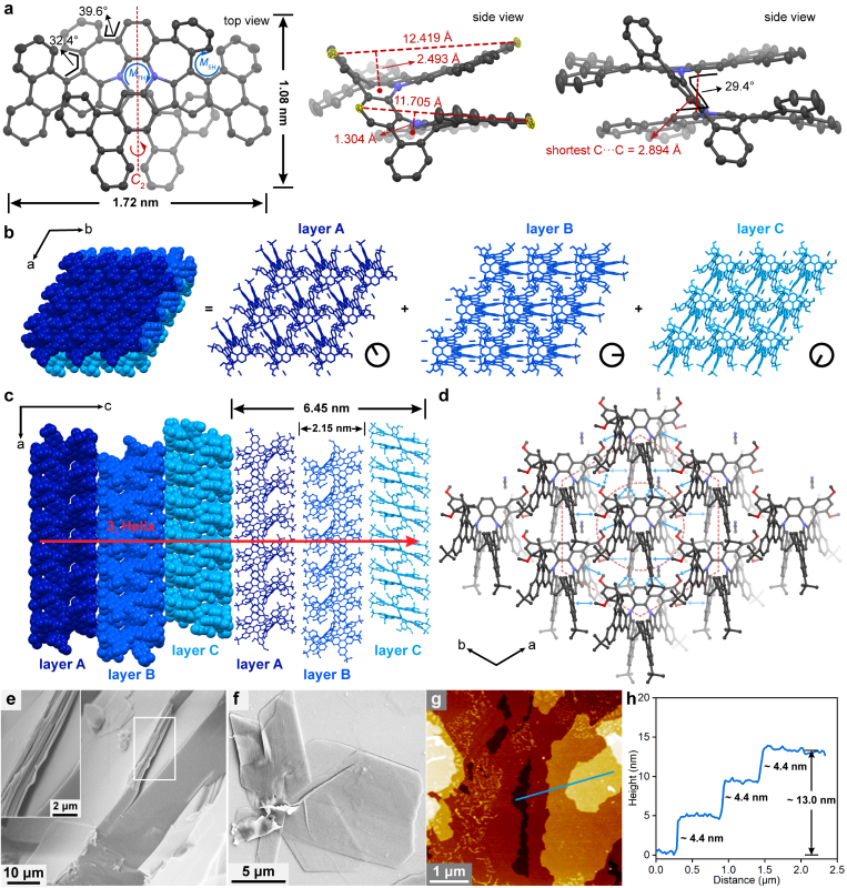 可控活性自组装研究提供新的组装基元与调控手段_结构_分子_合成