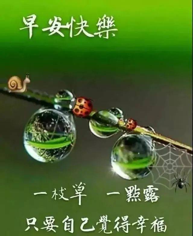 不用打字的早上好图片图片