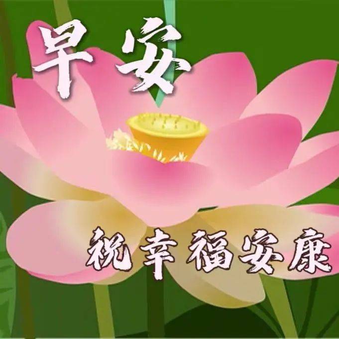 非常漂亮好看的早上好图片大全 大家早上好祝福语图片带字_生活_日子