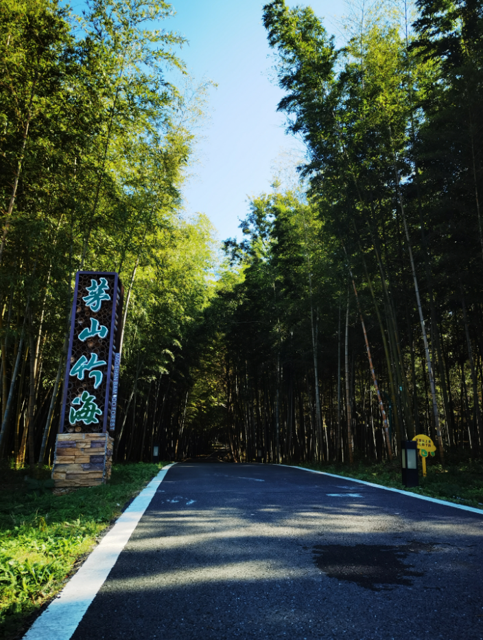 春到金坛茅山,来赶「海」吧!_山谷_阳光_樱花