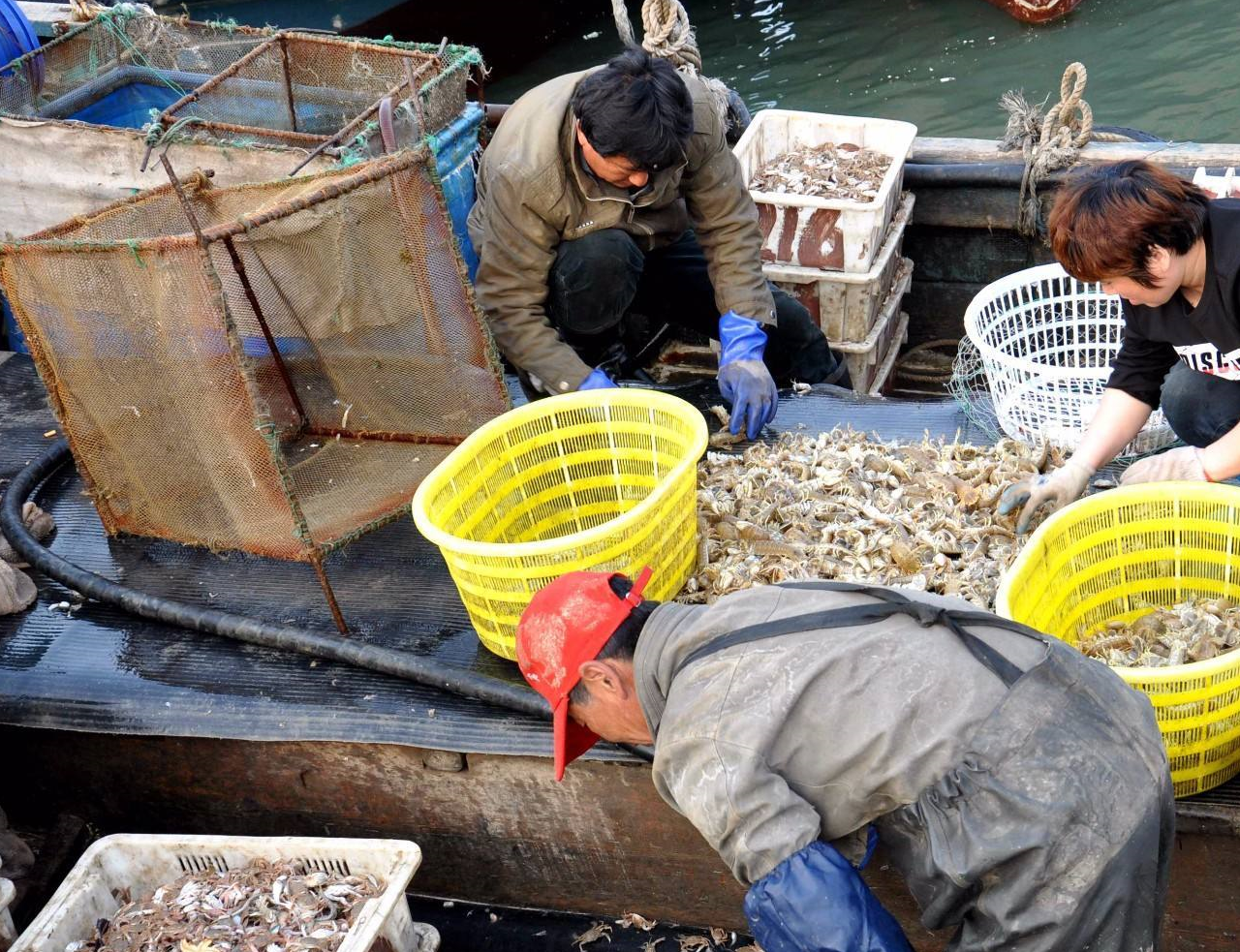 游客吐槽泰国"海鲜船",2只皮皮虾要价300块,网友:这次该凉了_价格