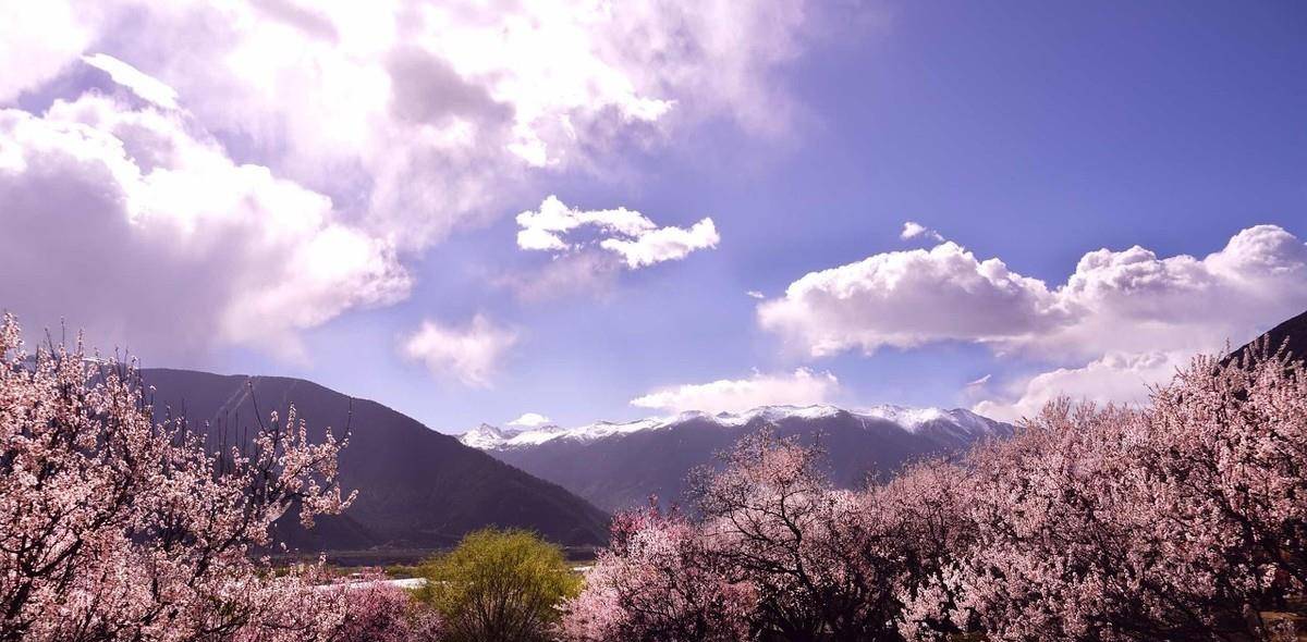 唐代文人刘商的《题黄陂夫人祠》中有它,宋代文人郭祥正的《拟桃花歌