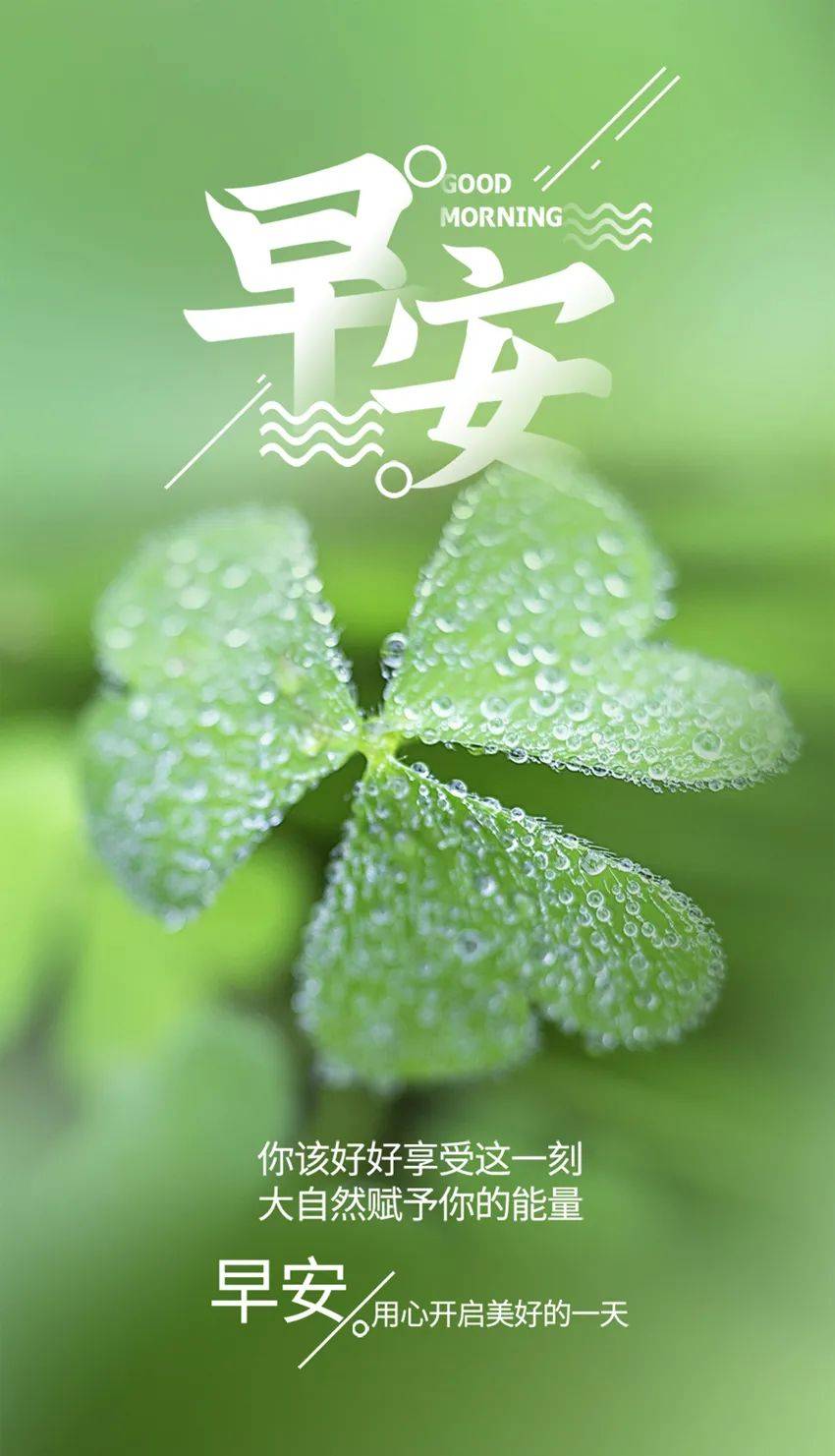 一个人_生活_男人
