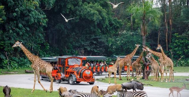 广东富豪苏志刚:靠2个游乐园赚千亿资产,为运动物包