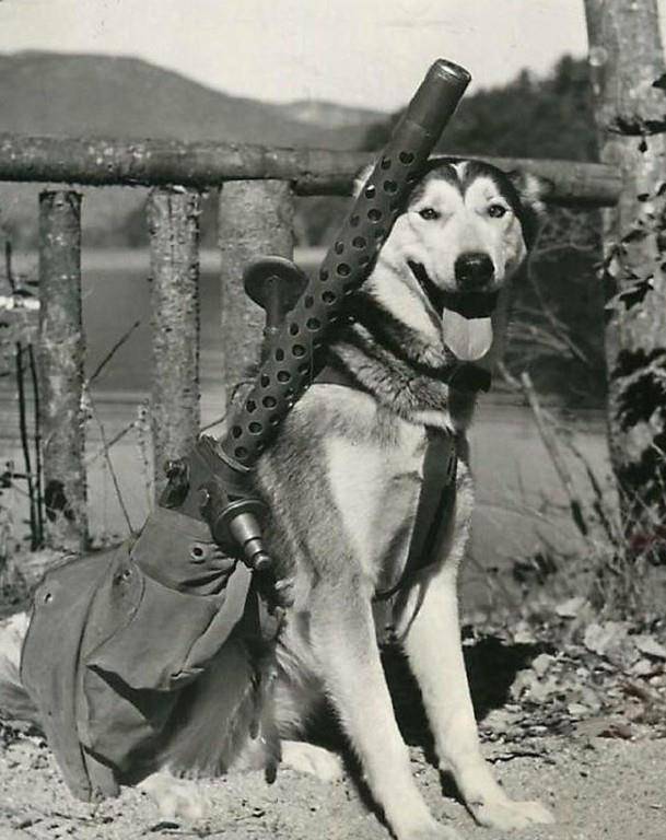 m1919机关枪由勃朗宁公司研制,将水冷改为气冷,虽有所改进,但更换枪管