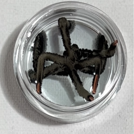 刹那永恒 | 张梅春的化学即时雕塑_反应_物质_生命